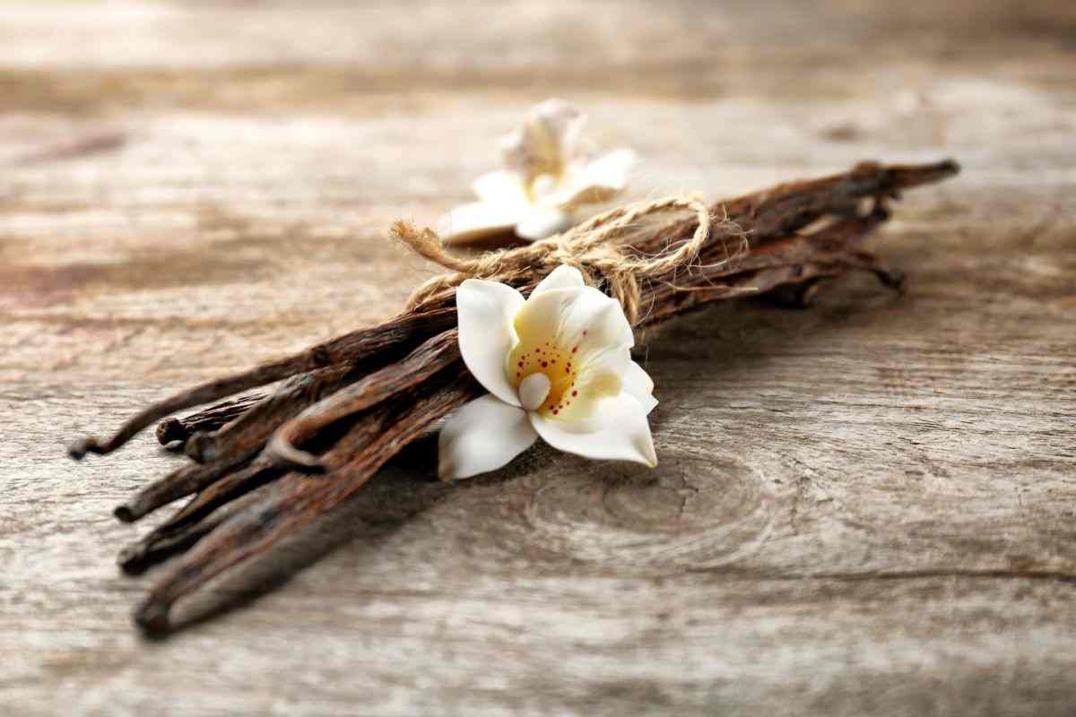 come riutilizzare le bacche di vaniglia