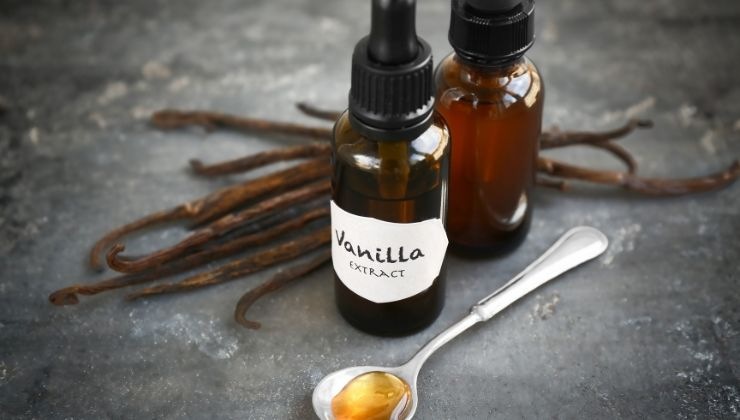 trucchi per riutilizzare le bacche di vaniglia